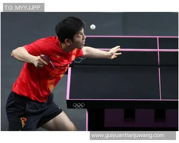 樊振东身高对乒乓球竞技表现的影响及其训练秘诀揭秘